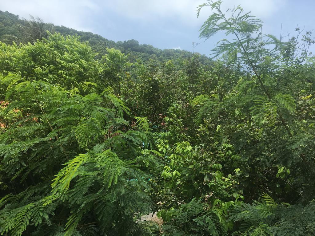 Corsica Guesthouse 卡塔海滩 外观 照片